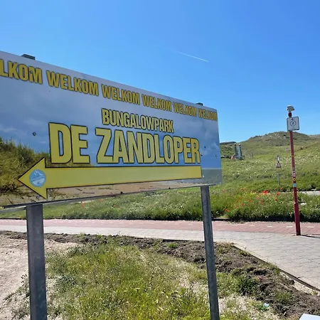 Zandloper 32 Orchis