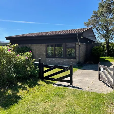 Zandloper 32 Orchis جوليانادورب