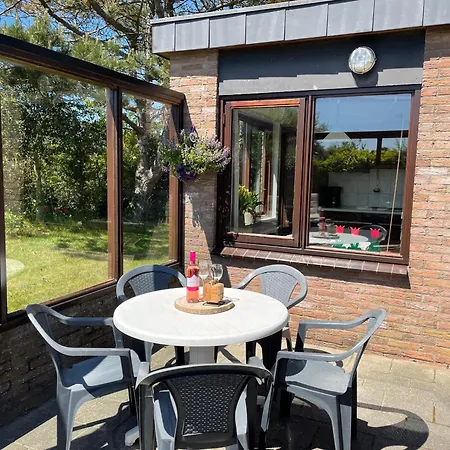 Zandloper 32 Orchis جوليانادورب